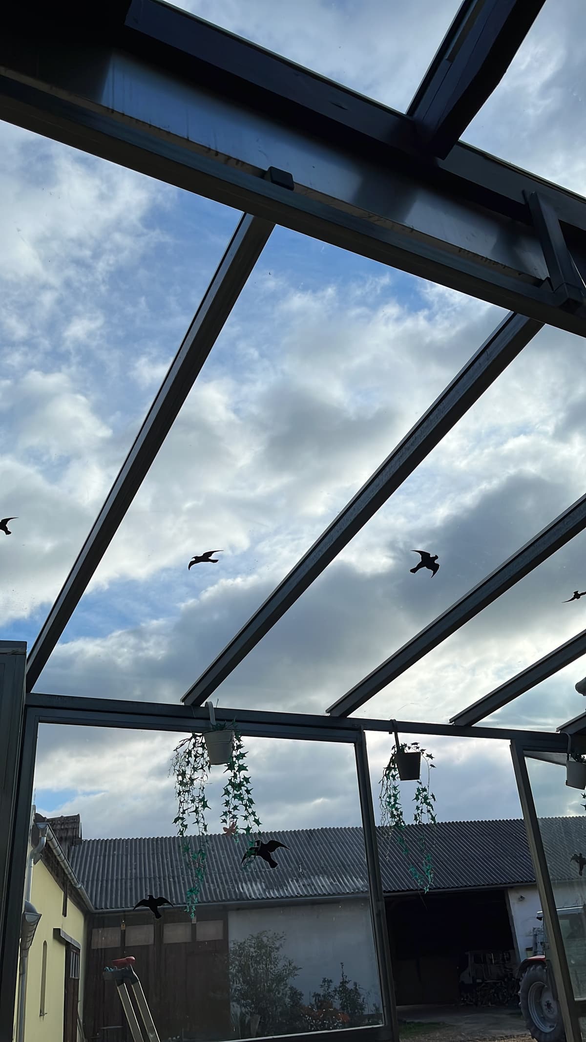 Fensterreinigung