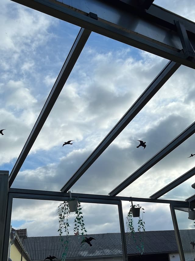 Fensterreinigung